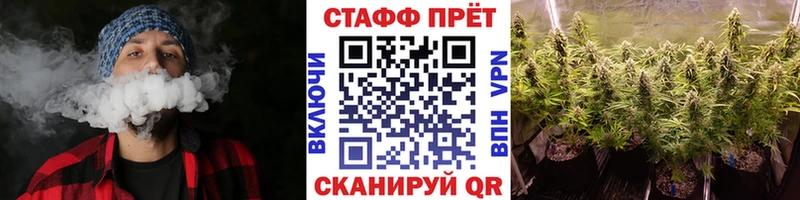 Наркотические вещества Кингисепп Кокаин АМФ ГАШИШ Альфа ПВП МАРИХУАНА Меф