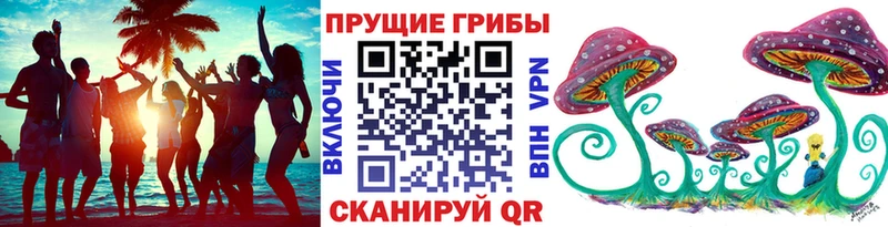 hydra ТОР  Кингисепп  Псилоцибиновые грибы Magic Shrooms 
