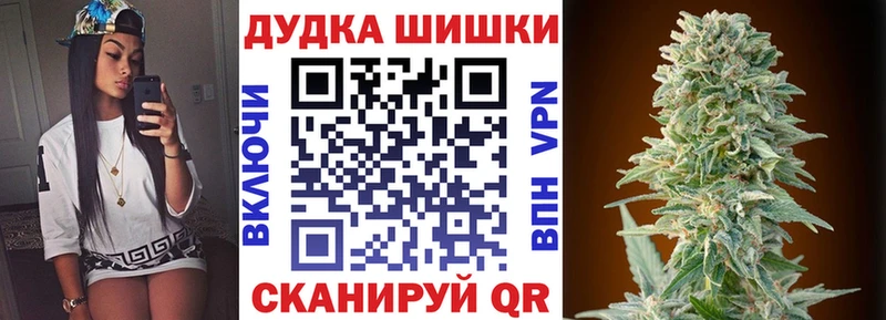 мега ссылка  Кингисепп  Конопля тримм 